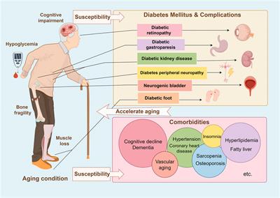 Mechanism of traditional Chinese medicine in elderly diabetes mellitus and a systematic review of its clinical application